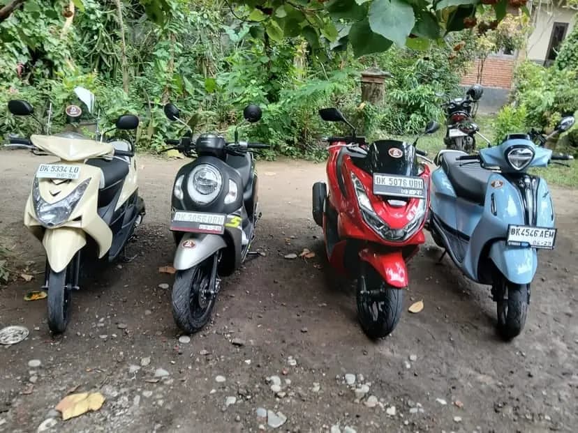 Dewa rental ubud - happy customers