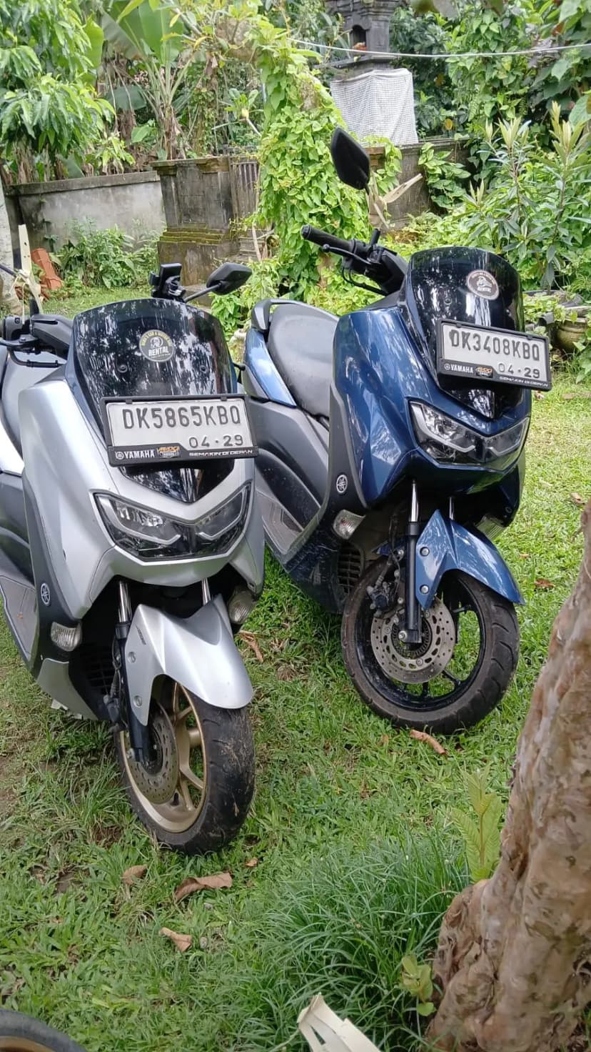 Dewa rental ubud - happy customers