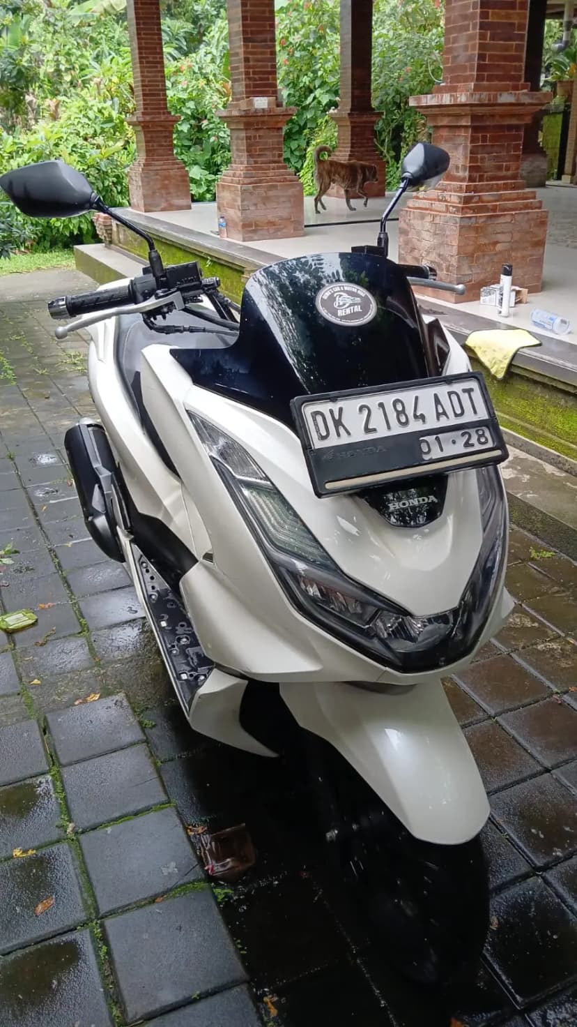 Dewa rental ubud - happy customers